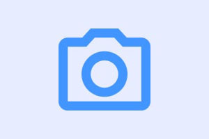 Polícia Civil investiga morte de três filhotes de gatos com sinais de maus-tratos em Nova Lima